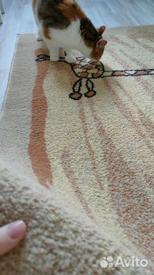 Ковер детский свежий из химчистки