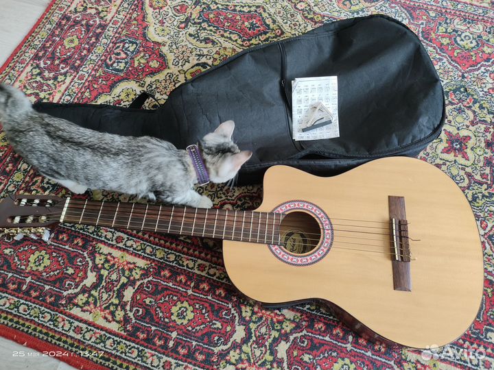 Электроакустическая гитара