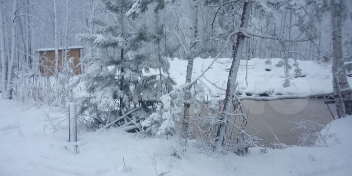 Дом 46 м² на участке 40 сот.