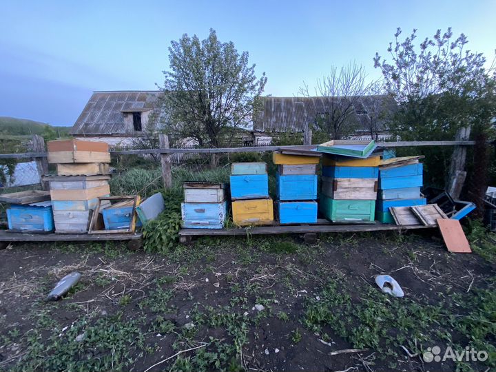 Домики для пчел