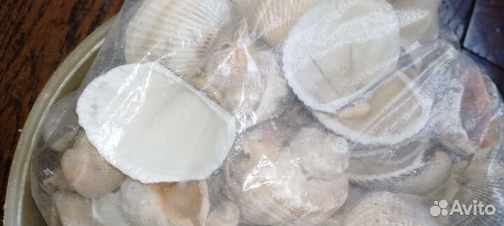 Пакет черноморских ракушек для поделок