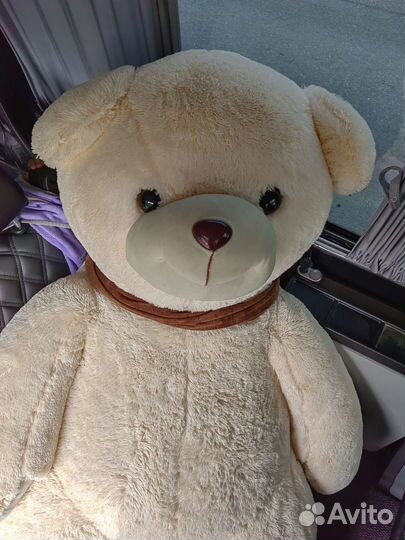 Плюшевый медведь