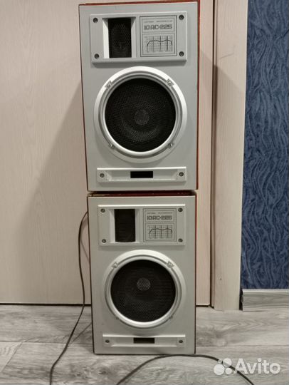 Колонки 10 ас 225