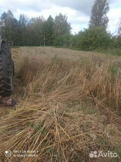 Солома в тюках овсяная необмолоченная и пшеницы