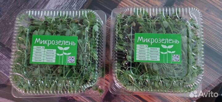 Микрозелень продаю