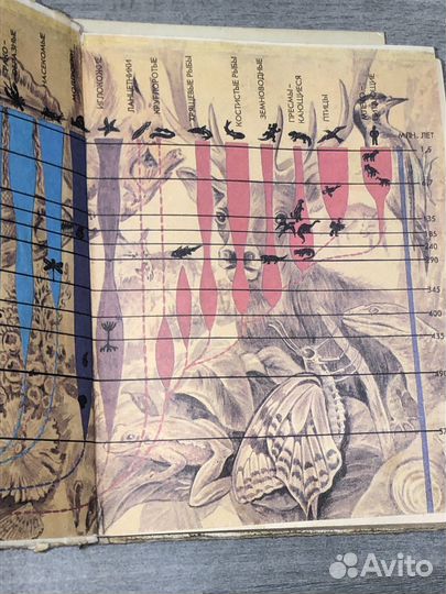 Учебные издания по биологии СССР