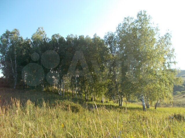 Участок 220 га (СНТ, ДНП)