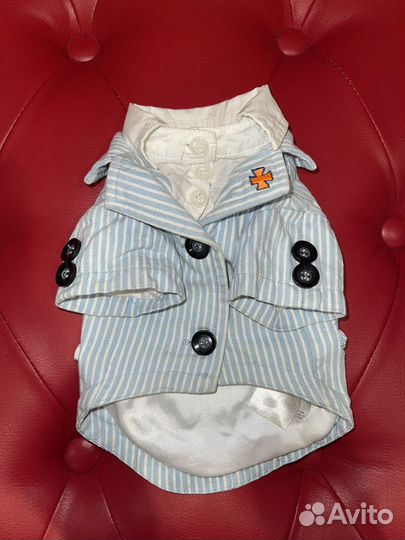 Одежда для маленьких собак