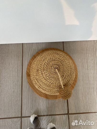 Когтеточка для кошек новая