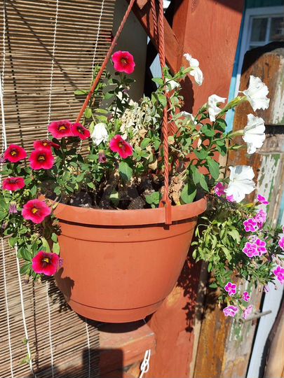 Дача 49 м² на участке 4 сот.