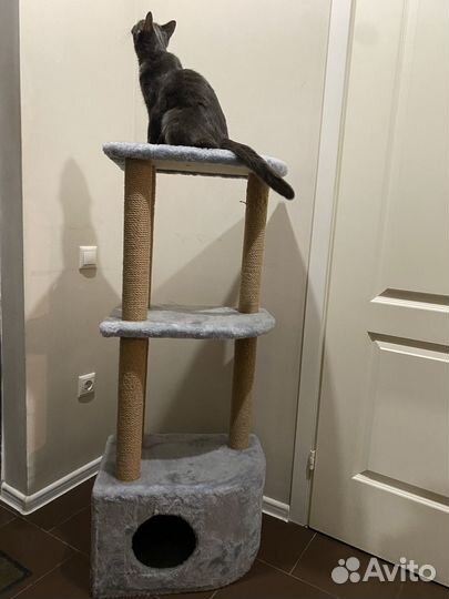 Когтеточка домик для кошки