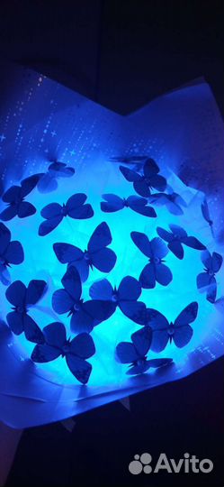 Букет из бабочек