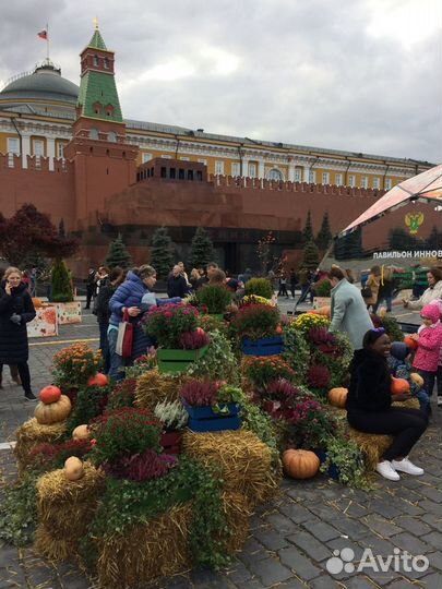 Декорации из сена, тюки из соломы для декора