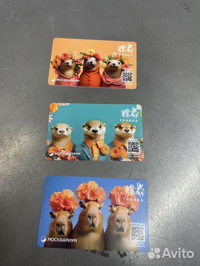 Карты тройка капибары