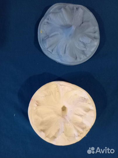 Вайнеры и молды