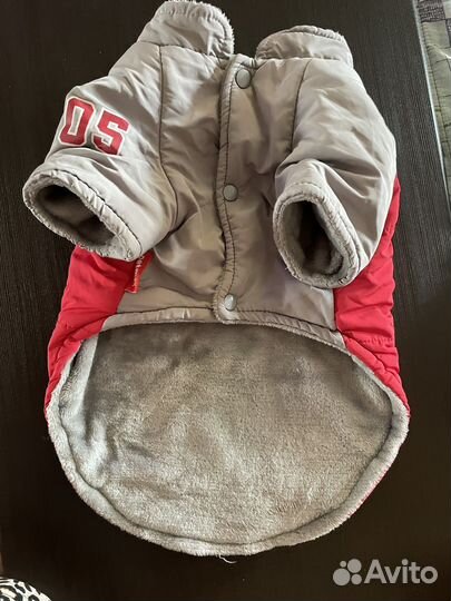 Одежда для собак