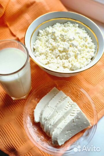 Сыр,творог,молоко(козье)