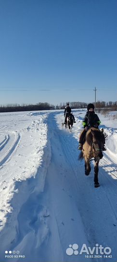 Катание на лошадях - Выезд в Поле