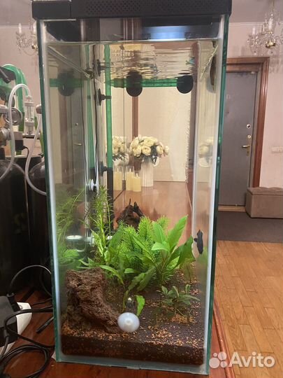 Умный аквариум xiaomi со всем что на фото