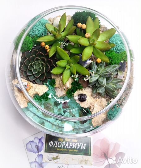 Флорариум в подарок
