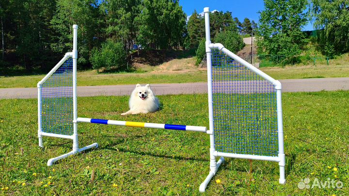 Барьер для аджилити, слалом для аджилити, тоннель
