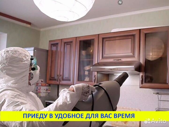 Уничтожение клопов тараканов муравьев