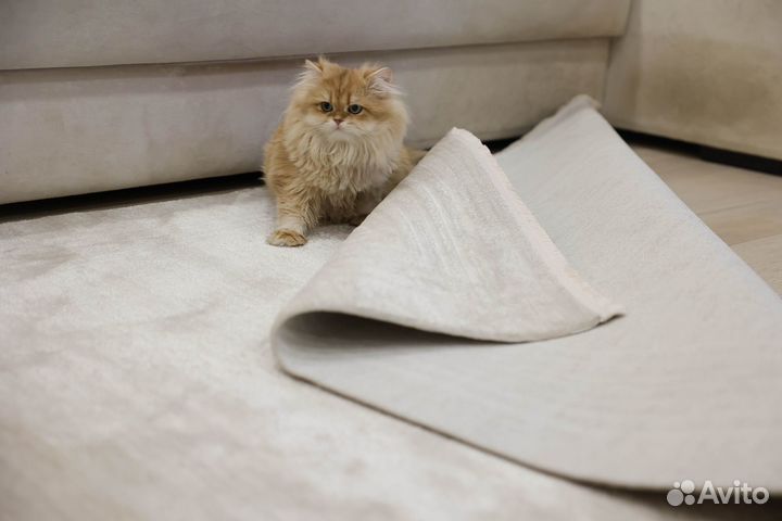 Ковер Турецкий новый