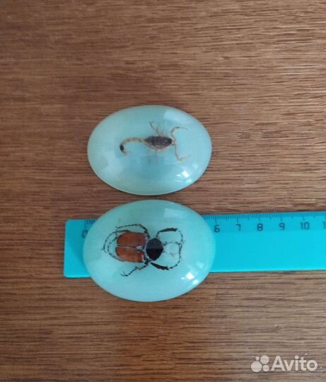 Насекомые в эпоксидной смоле магниты