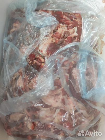 Мясо для собак-Обрезь говядины