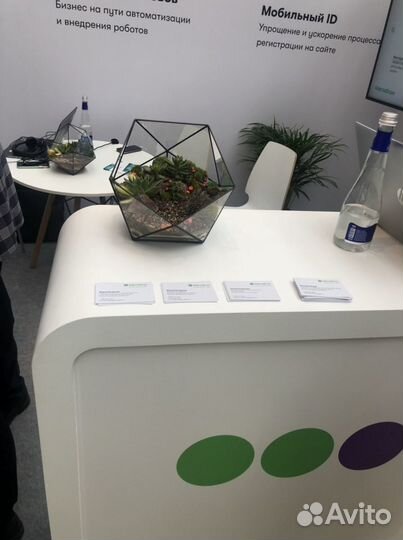 Фитодизай, оформление, флорариум