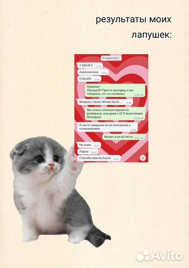 Репетитор по русскому языку и литературе