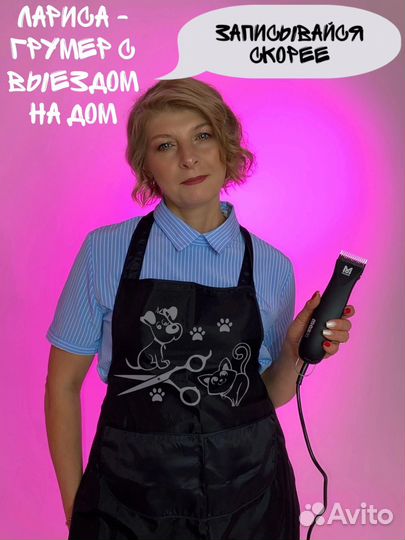 Груминг Грумер собак и кошек с выездом на дом