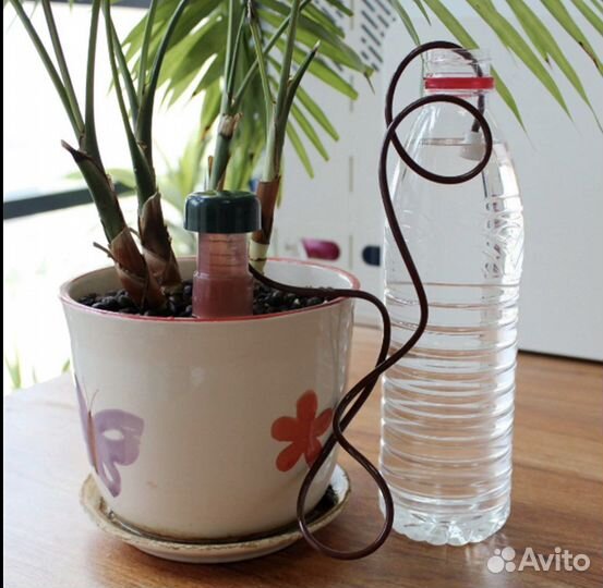 Автополив для комнатных растений
