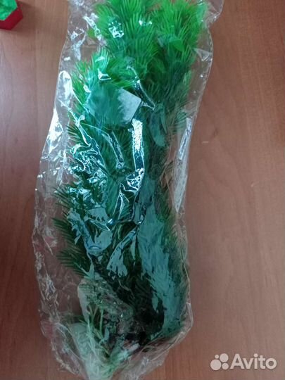 Трава для аквариума