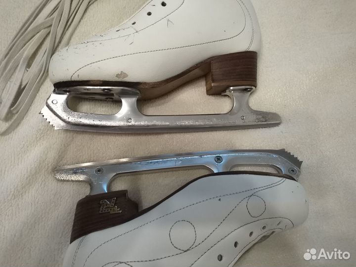 Фигурные коньки risport royal PRO 24.0