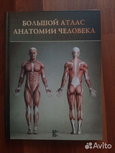 Большой атлас анатомии человека