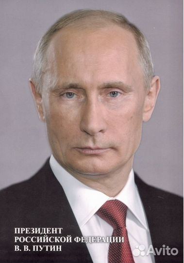 Портрет Путина В