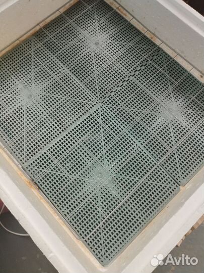 Инкубатор для яиц автоматический бу