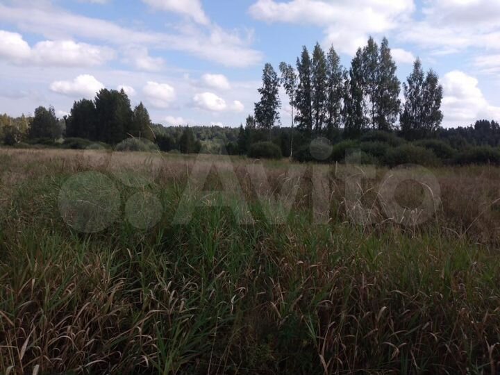 Участок 100 сот. (СНТ, ДНП)