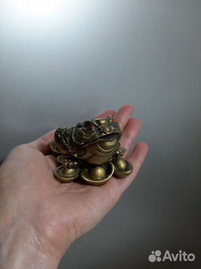 Фэншуй Жаба