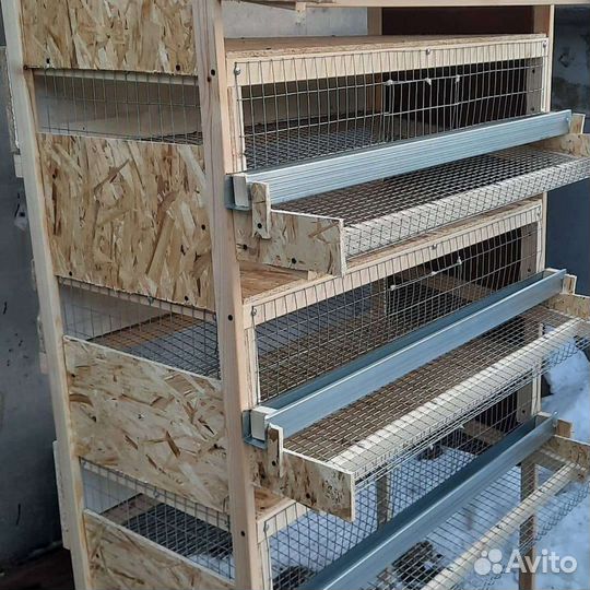 Клетка для перепелов
