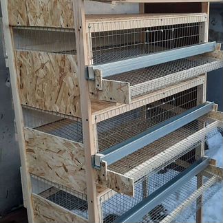Клетка для перепелов