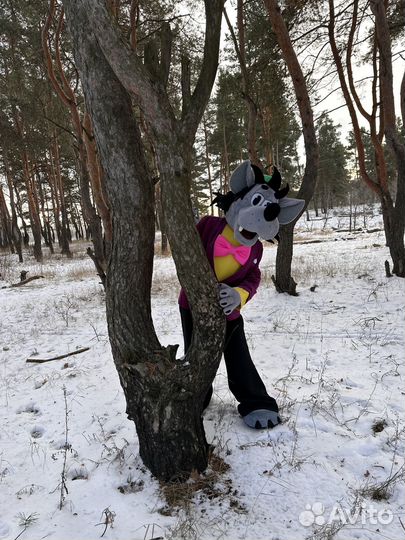 Костюм для аниматора в аренду