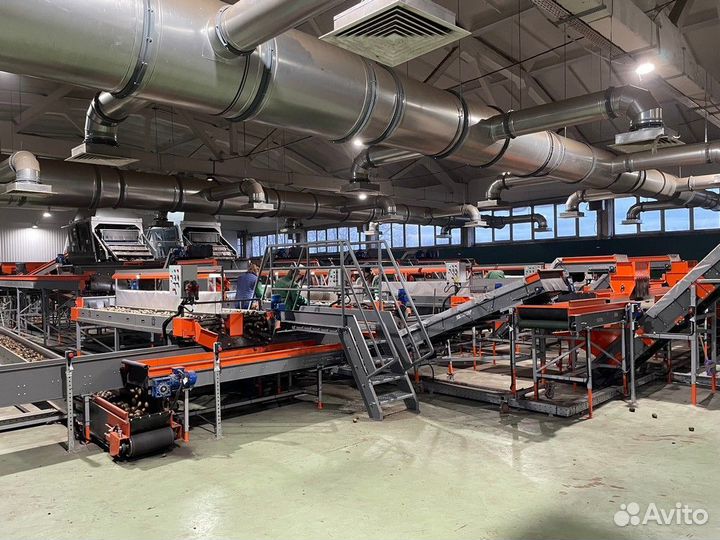 Линия сортировки овощей