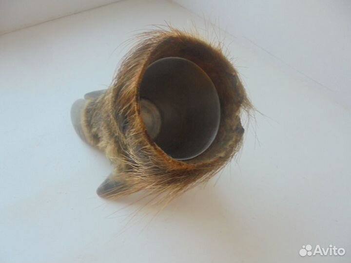 Охотничий трофей: пепельница из копыта кабана