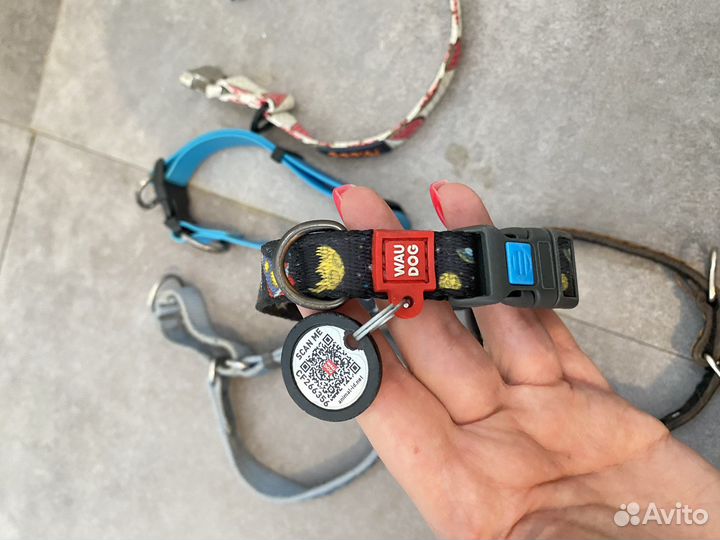 Миски для собак