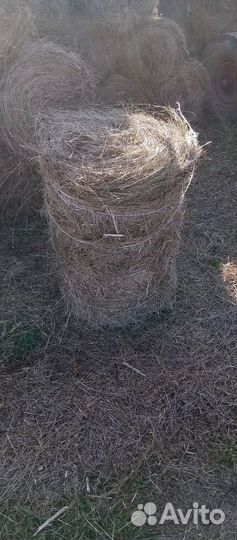 Рулоны сена