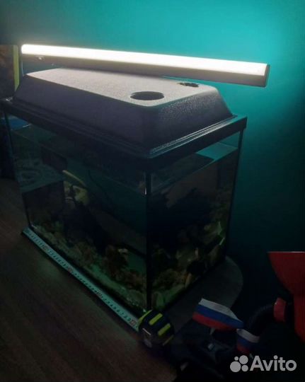 Аквариум с фильтром и камнями