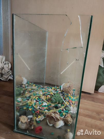 Аквариум