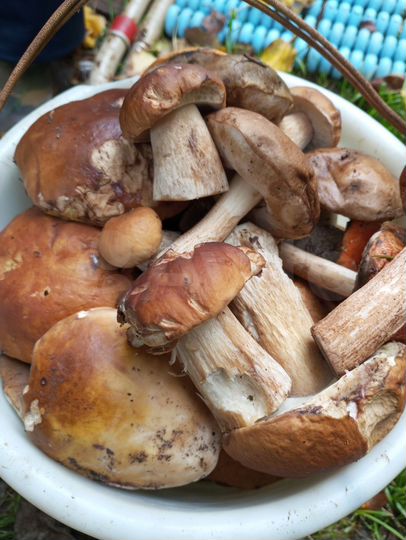 Дом 69,6 м² на участке 28 сот.